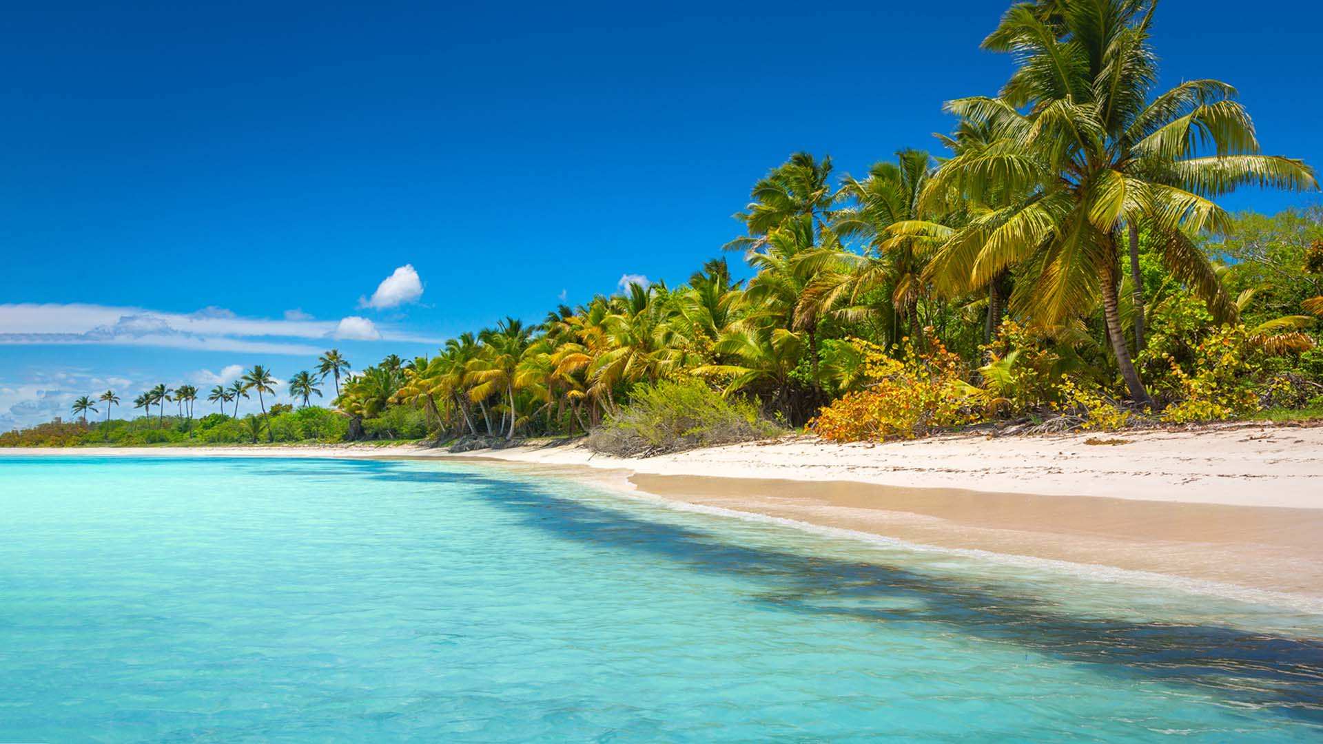 Nature image of beach and ocean