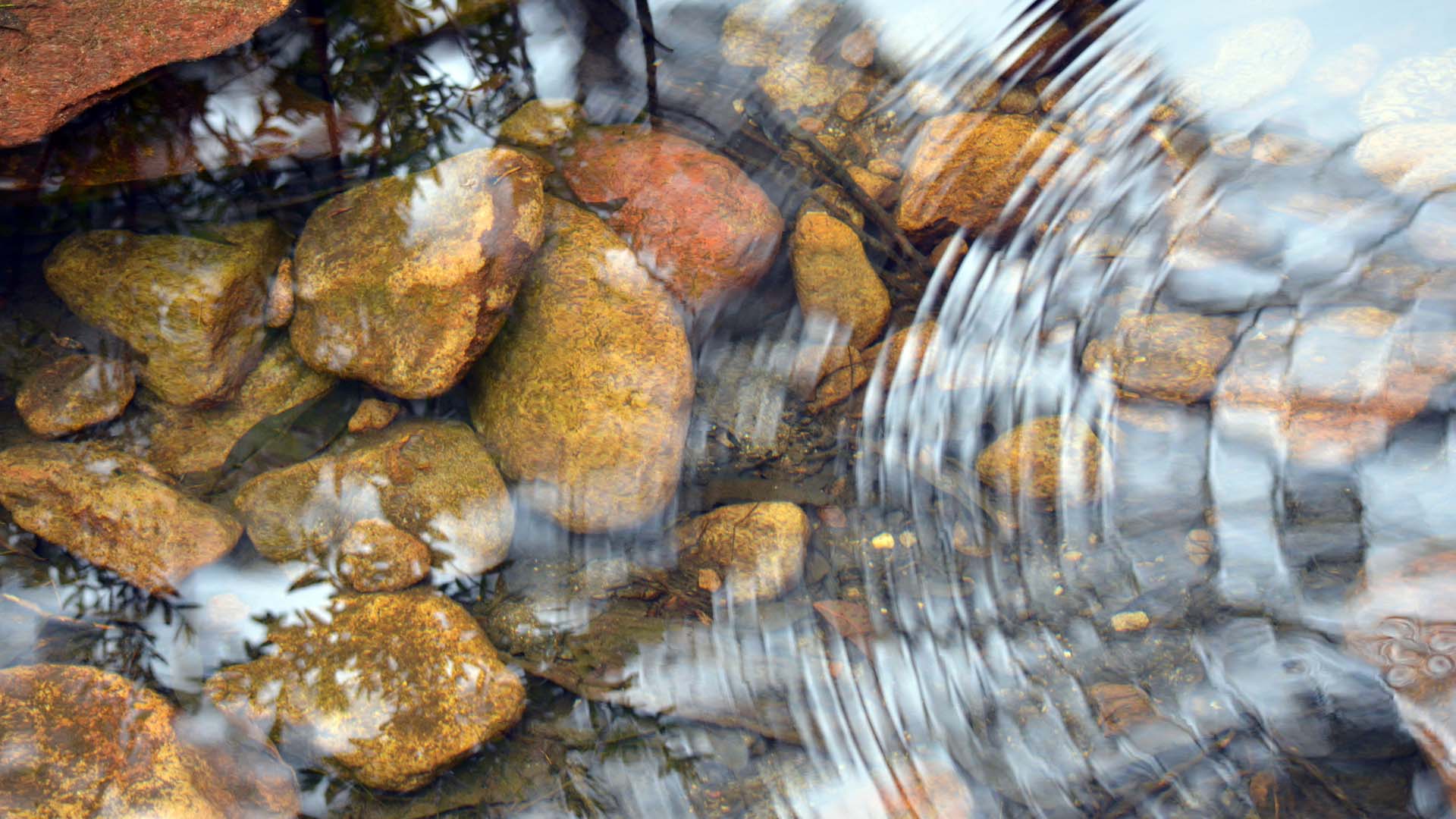 Nature image