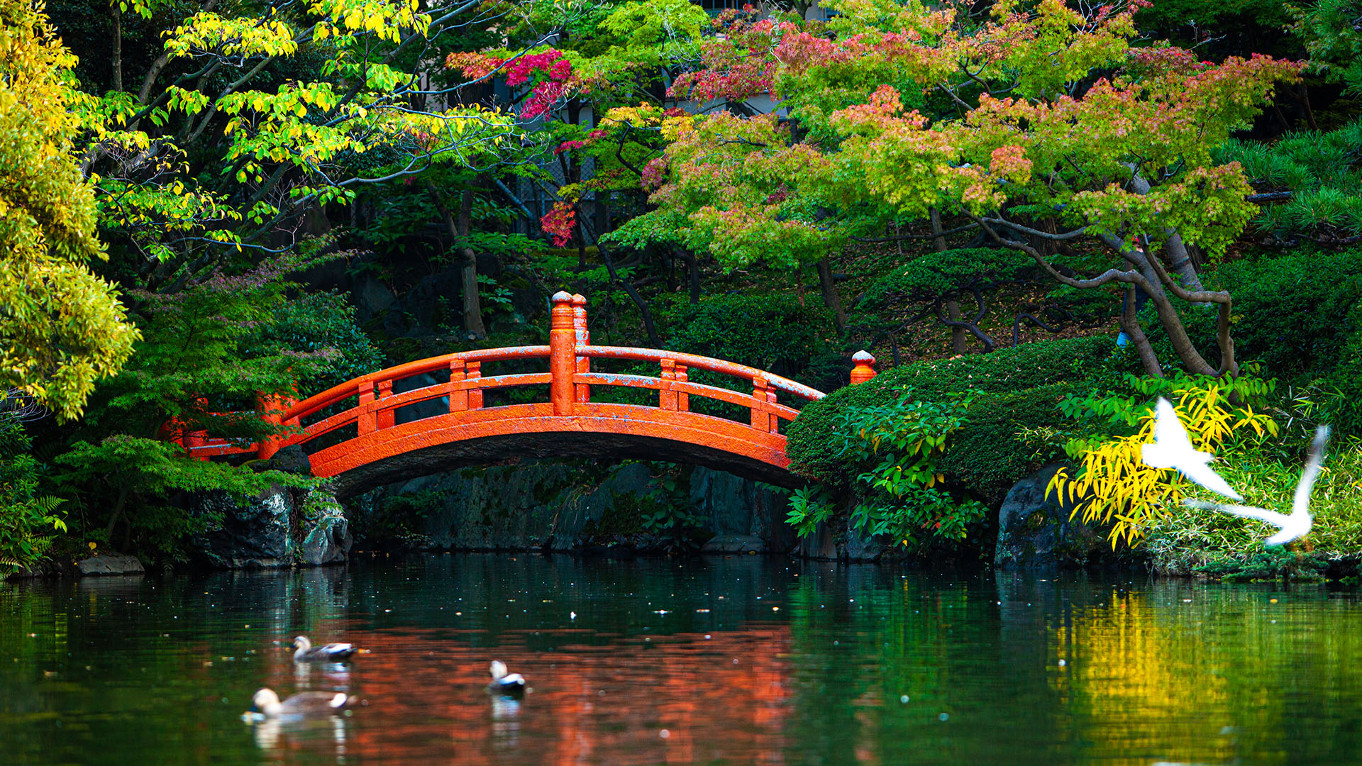 Japanese Secret to Slow Aging