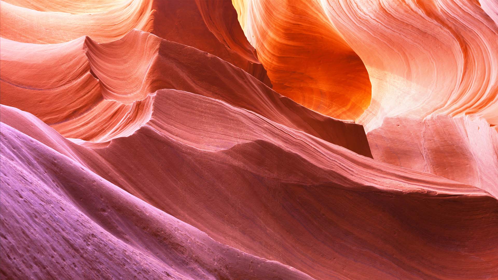 Nature image