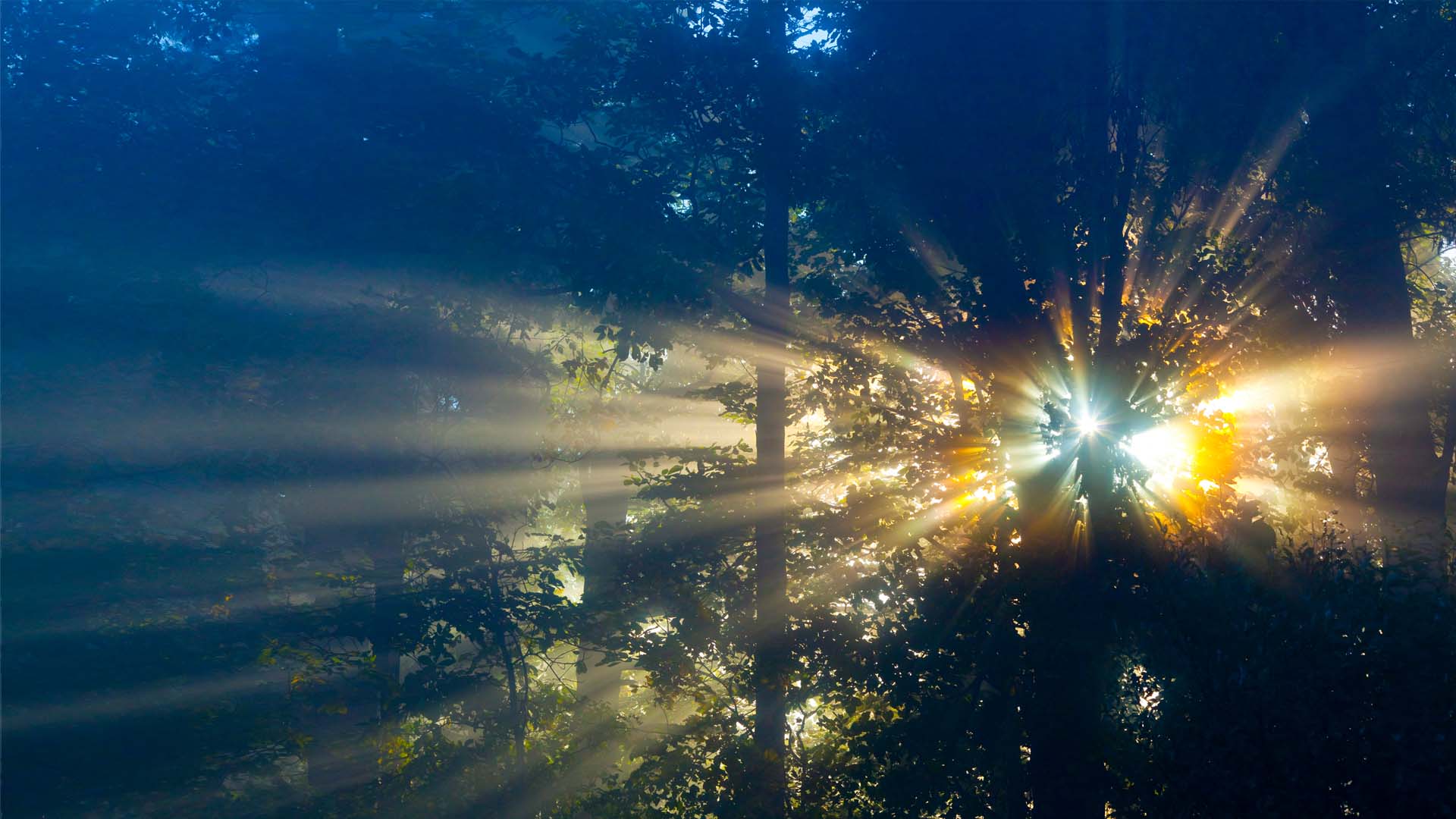Nature image of ocean and large rock formation