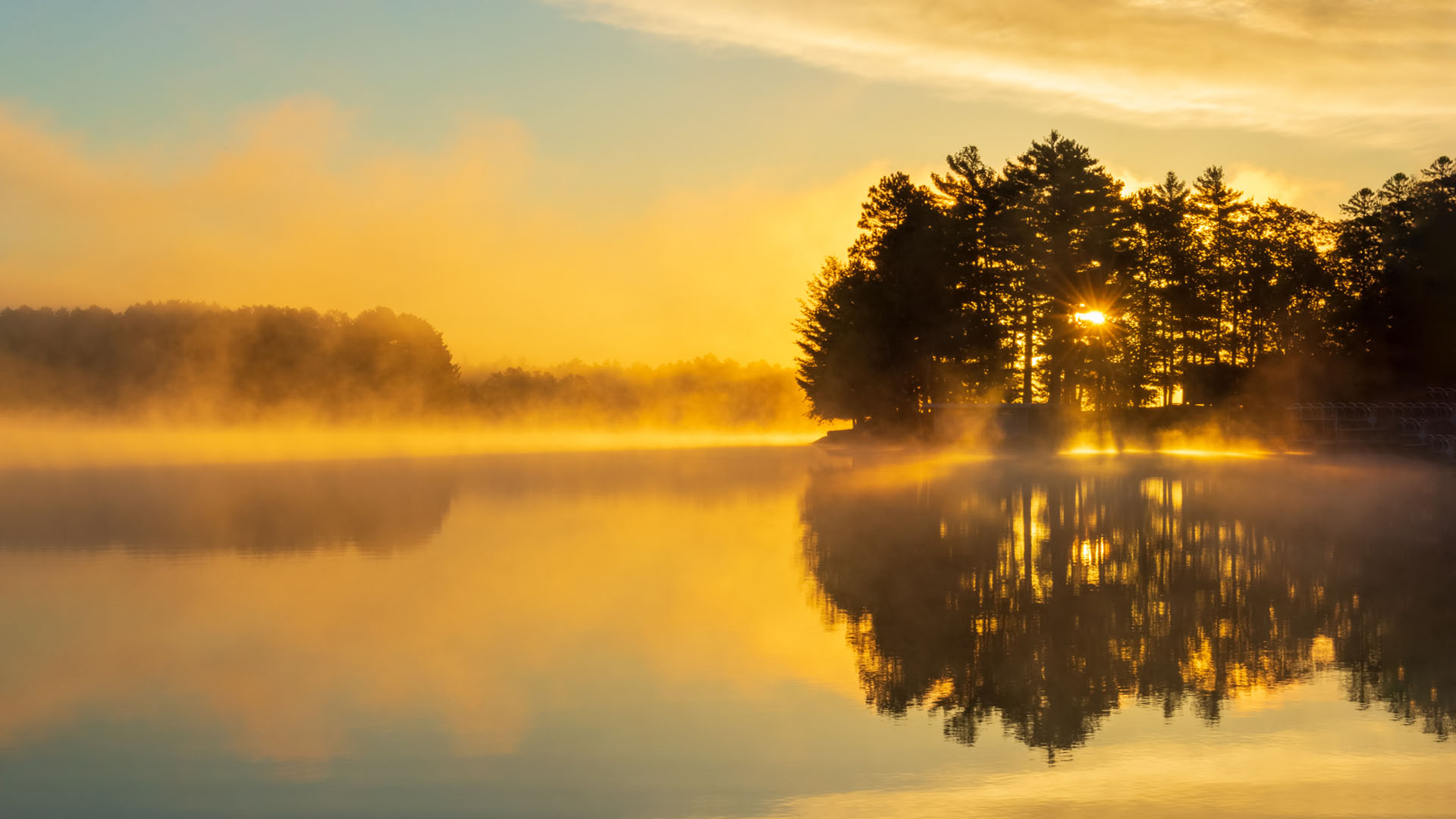 Nature image