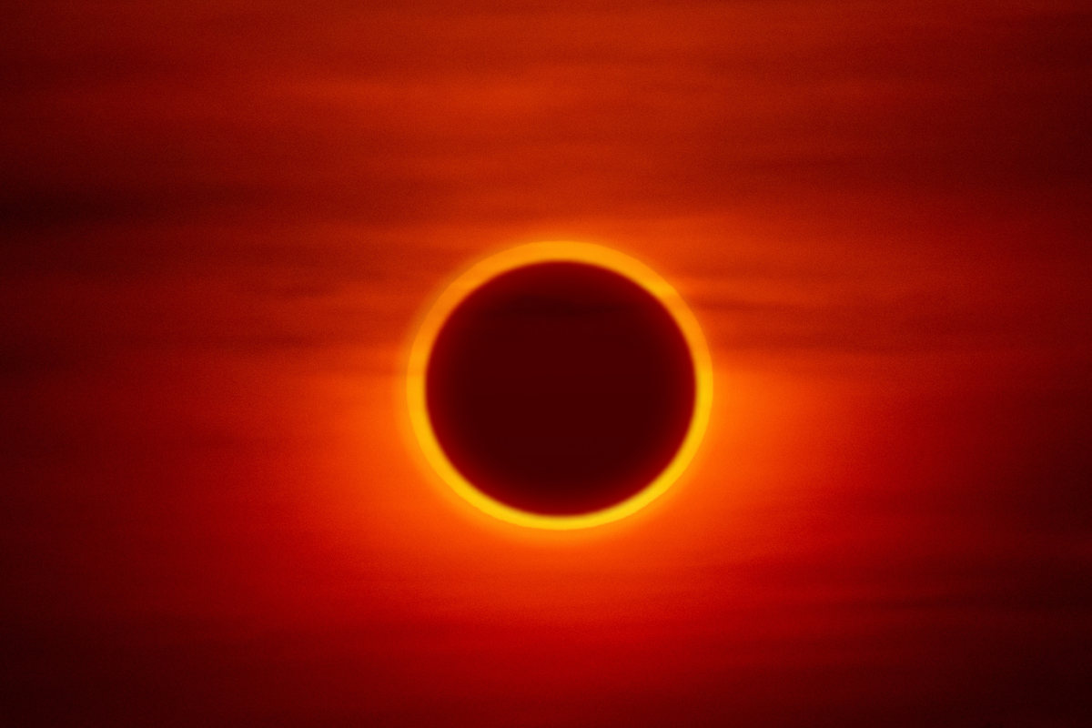 New Scientist Discovery Tours, links to site