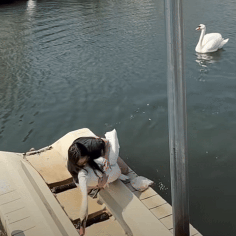 gif of the week