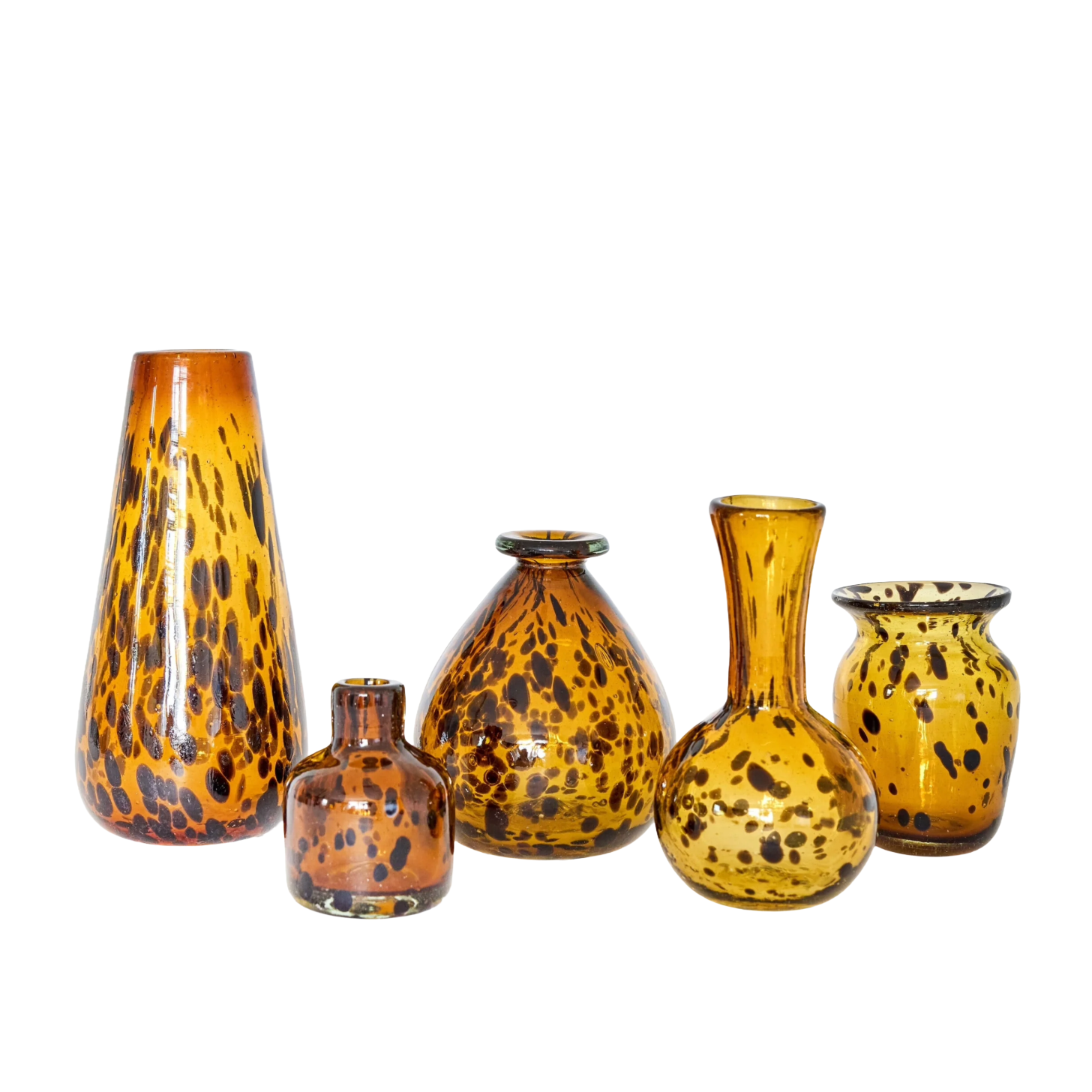 Half Past Seven Tortoise Vase Collection