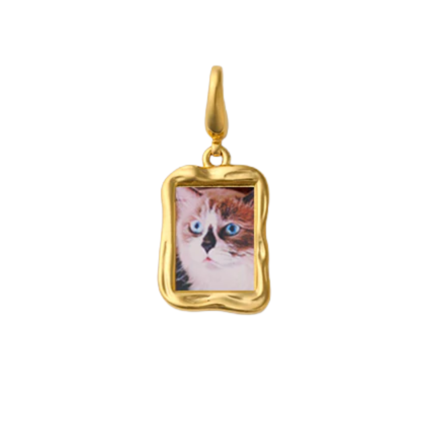 Raiz Mona Customizable Portrait Pendant Gold