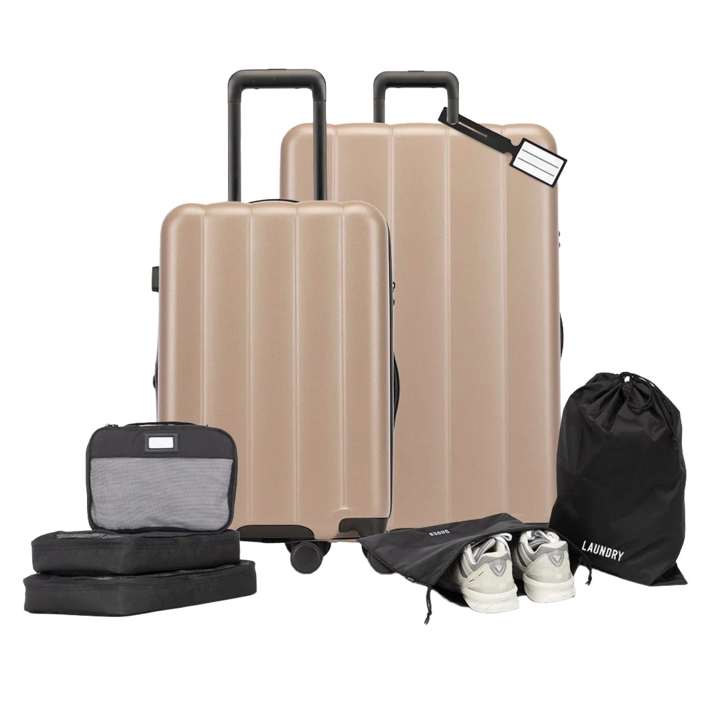 Calpak Evry Starter Bundle