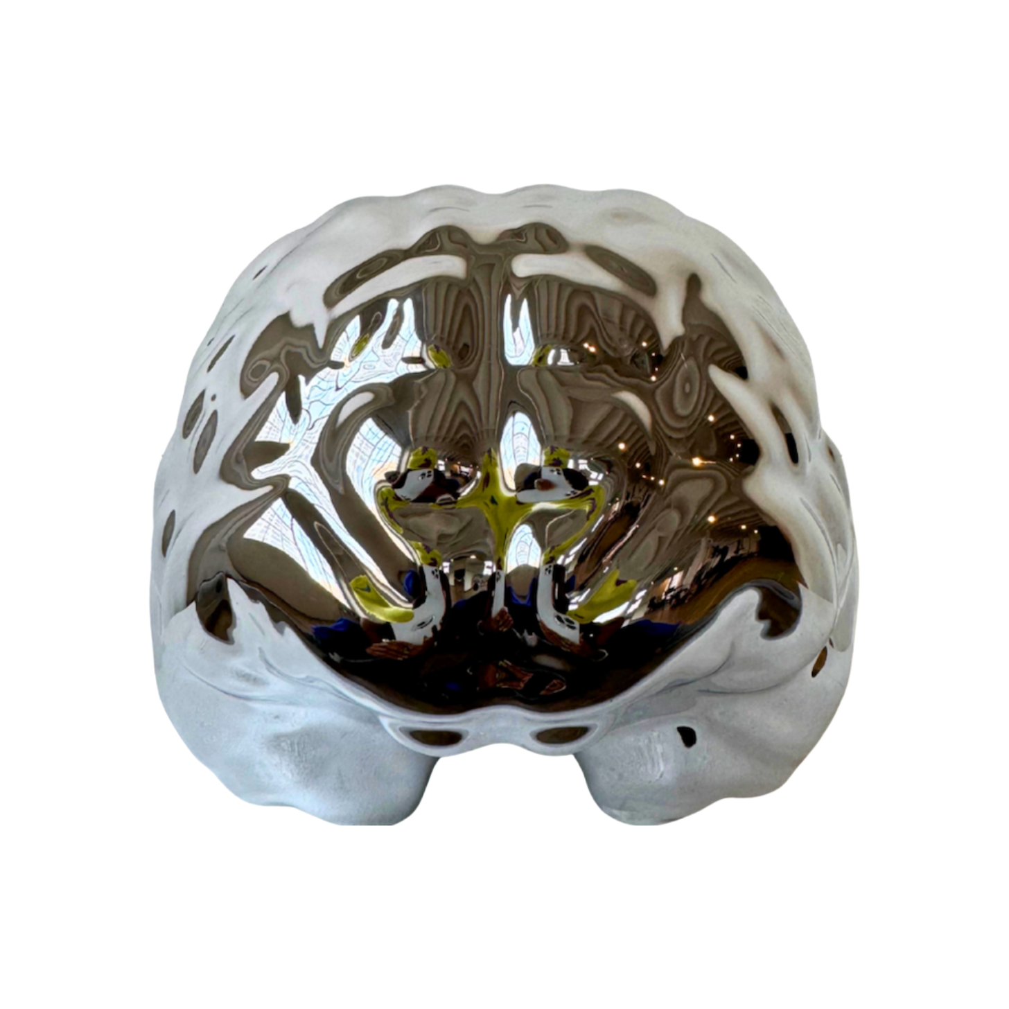 Your Nüclei Brain Bank