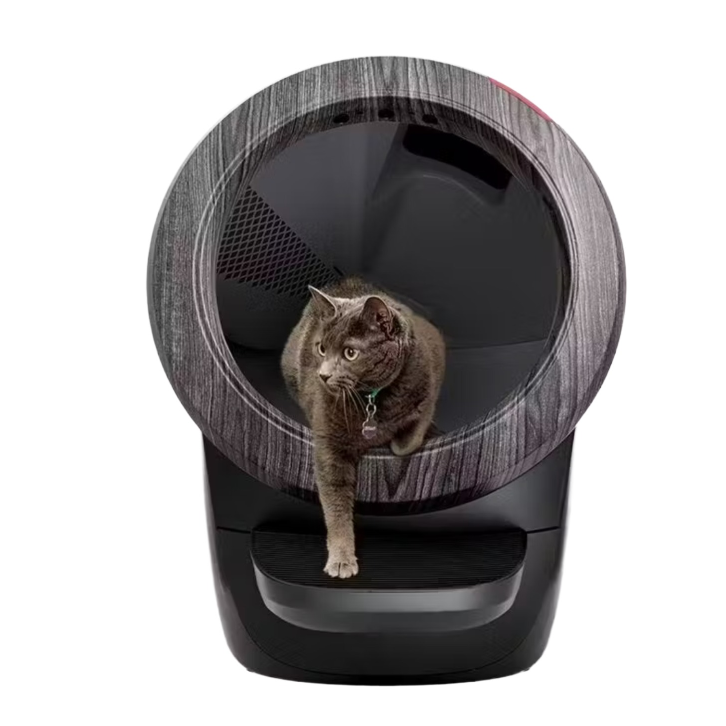 Cat litter box