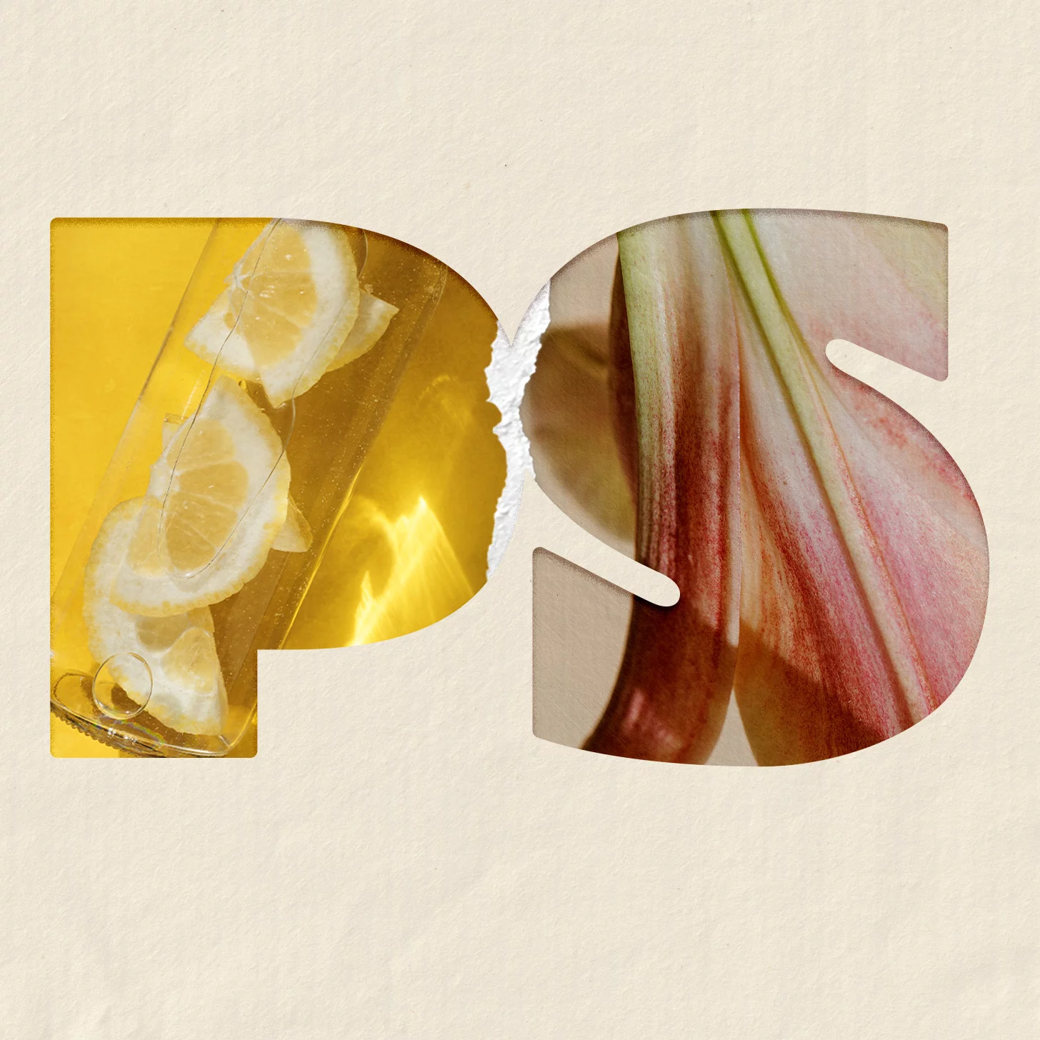 A graphic with a paper cutout that reads 