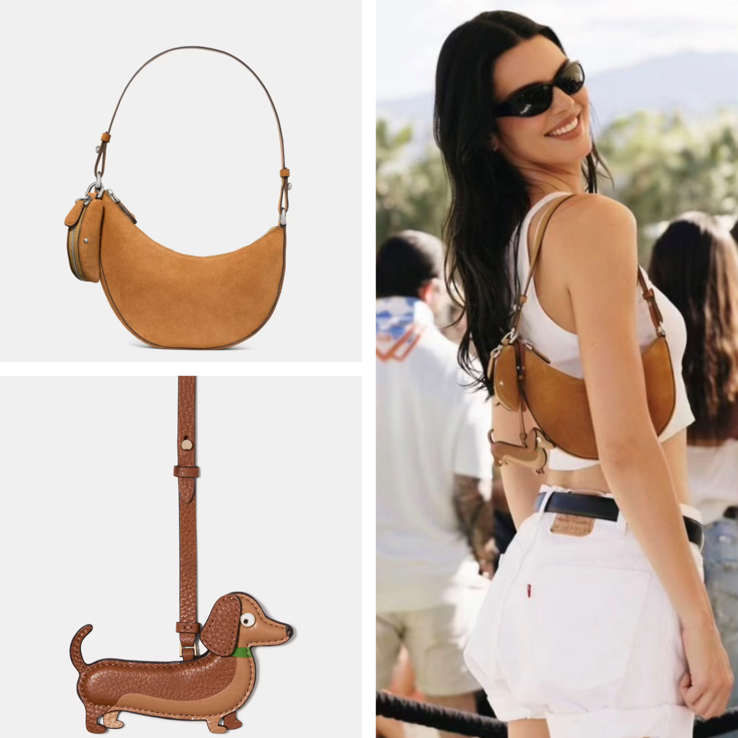 Kendall Jenner Wearing a Kate Spade Bag and Dog Charm at Coachella