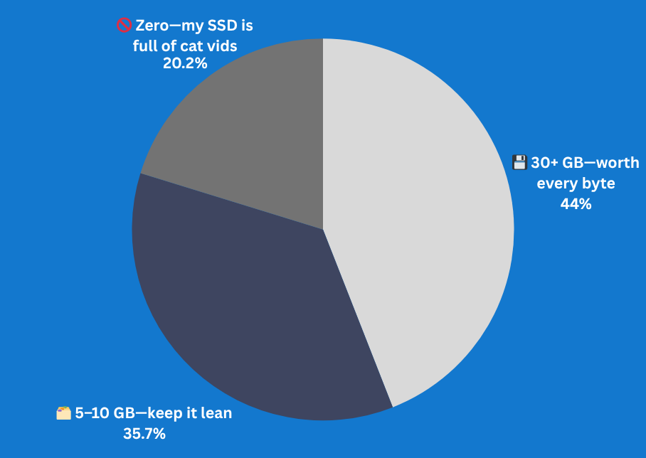 How much storage would you sacrifice for a powerful local AI model?