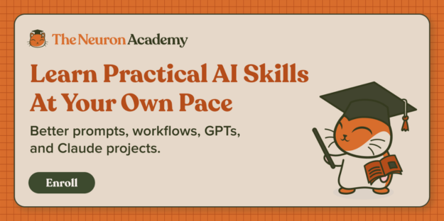 The Neuron Academy