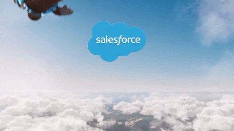 Critical Salesforce Installer Bug Enables Host Takeover Critical Salesforce Installer Bug Enables Host Takeover