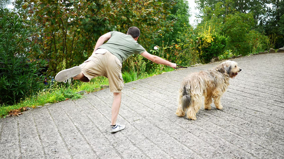 A photo of a person being pulled by their dog on a leash.