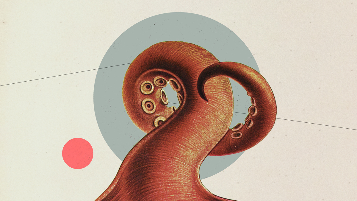 An illustration of a octopus tentacle with a giant blue dot and a small pink dot in the background with lines going through.