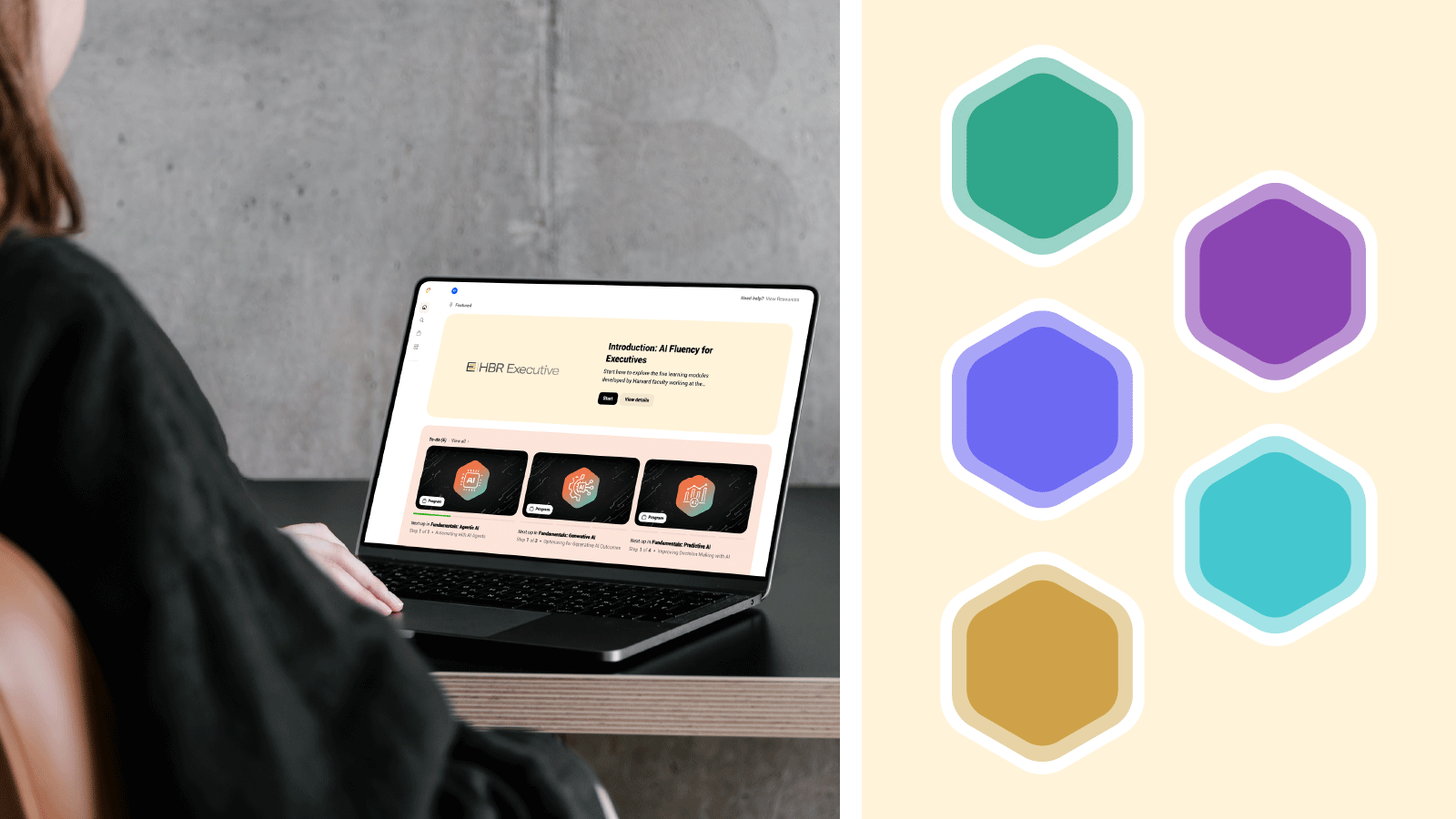 A person sitting at a desk, viewing a laptop displaying an HBR Executive 