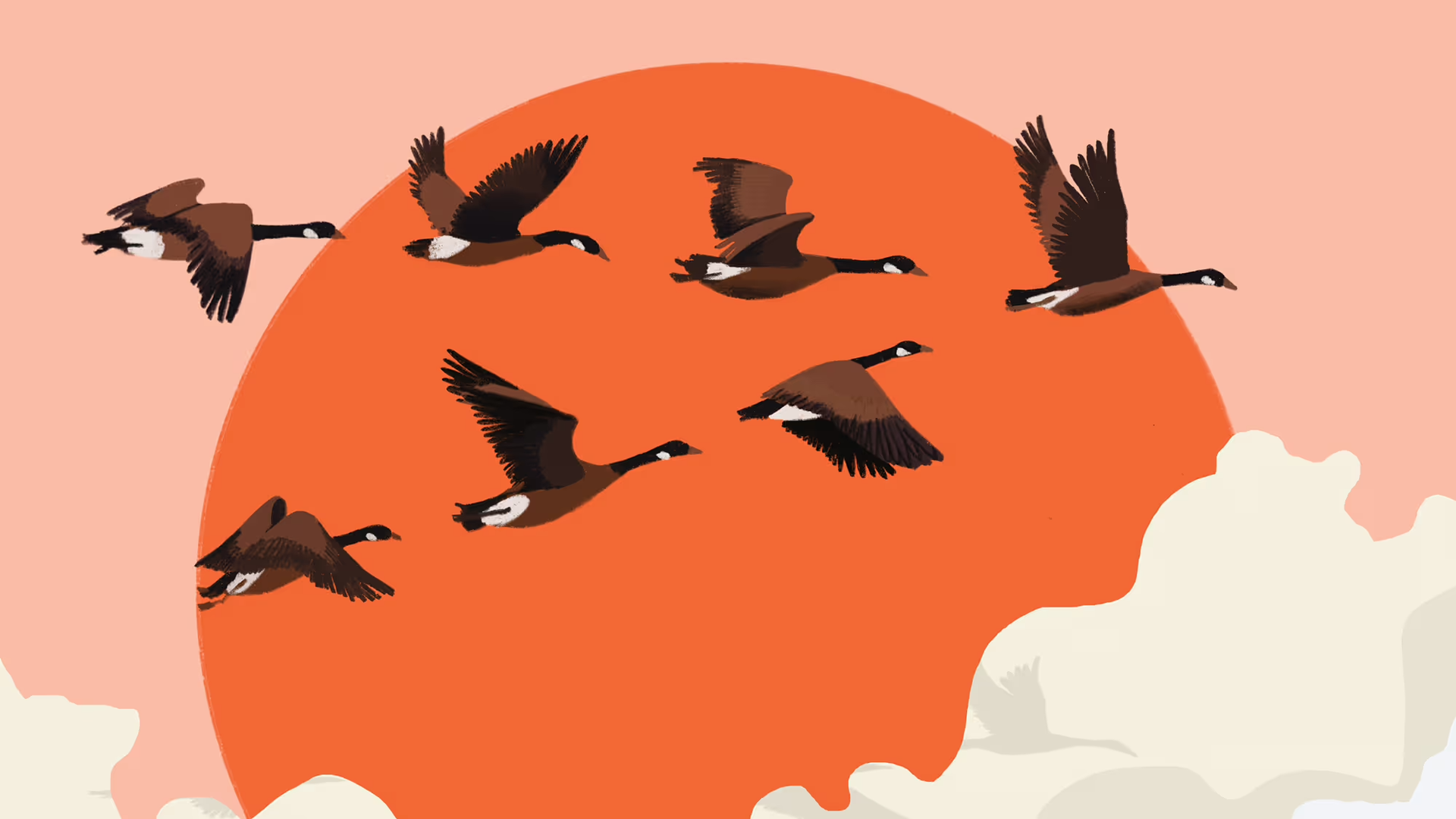 An illustration of geese flying with a giant orange sun in the background.