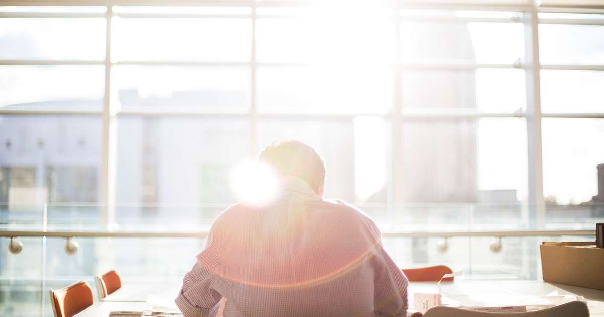 Person seated at a desk in a sunlit office, viewed from behind, working near large windows.