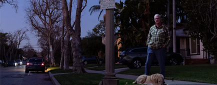 a man and a dog next to a street lamp with an attached solar panel light a man and a dog next to a street lamp with an attached solar panel light