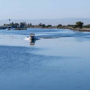 Heated debate over California water plan as environmentalists warn of 'ecosystem collapse'