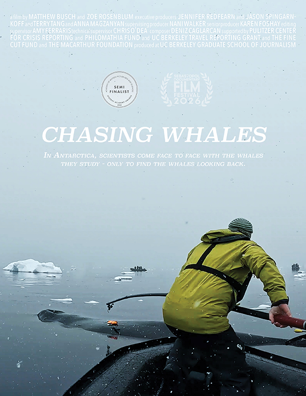 Chasing Whales