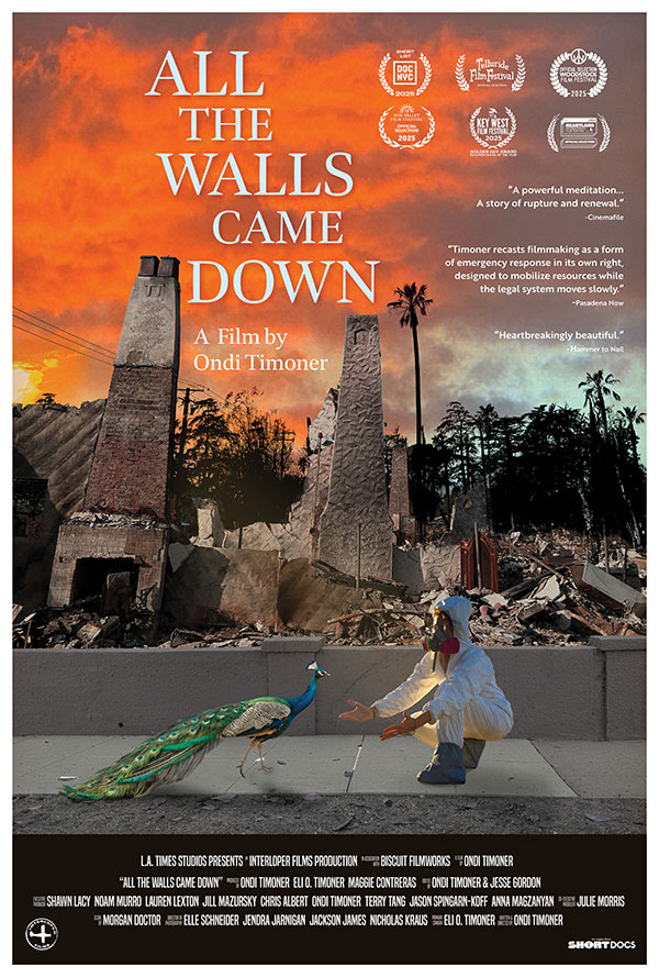 ALL THE WALLS CAME DOWN