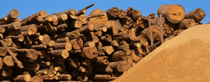 A pile of logs next to a mound of particles.