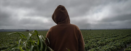 After a day of working in the fields, this 17-year-old relaxes by rows of strawberries in the Salinas Valley. After a day of working in the fields, this 17-year-old relaxes by rows of strawberries in the Salinas Valley.