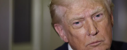 Donald Trump Donald Trump