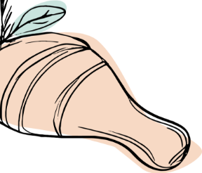chickenleg