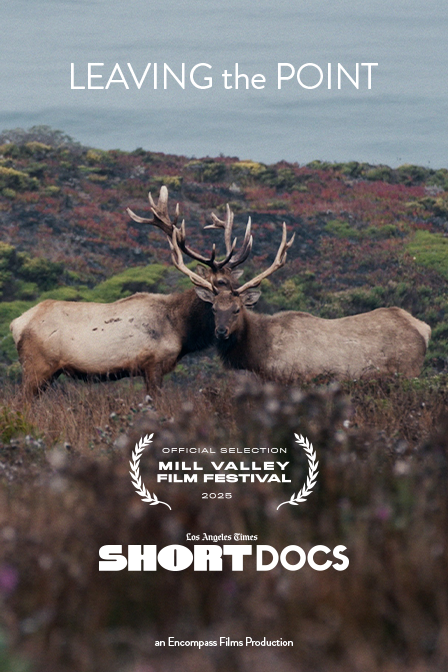 Leaving the Point  Leaving the Point