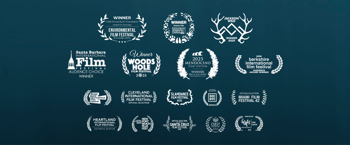 Awards Awards