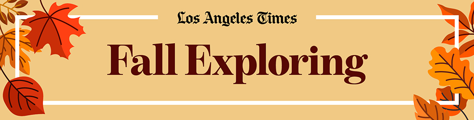 Los Angeles Times | Fall Exploring  Los Angeles Times | Fall Exploring