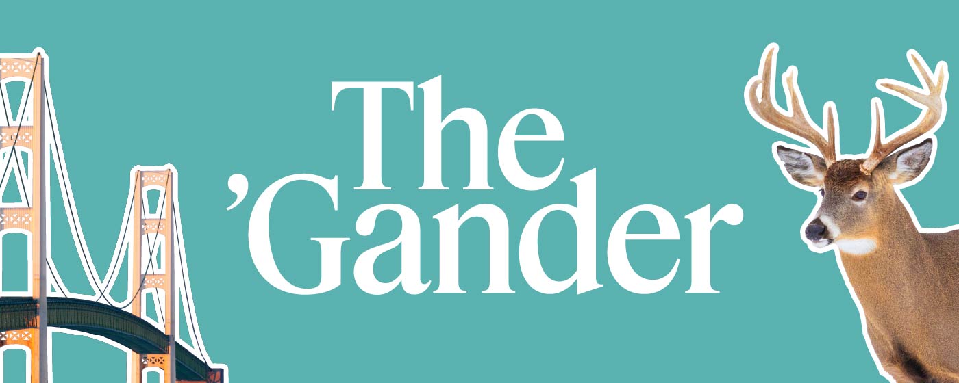 The ’Gander